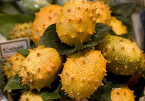 角瓜怎么吃没毒,如何避免中毒风险