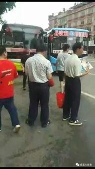 吃瓜视频群众在围观,揭秘网络热点背后的故事