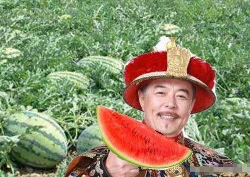 皇帝吃瓜后杀瓜农,一场荒诞的宫廷悲剧