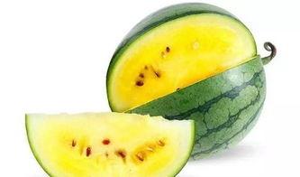 吃瓜地图吃瓜哪家强,探寻全国最地道的吃瓜胜地