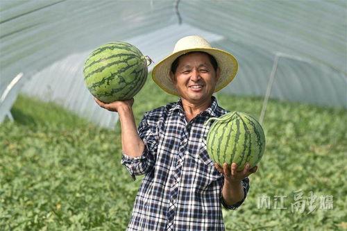 吃瓜李染染,揭秘娱乐圈背后的故事