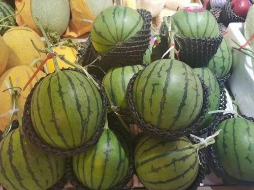 兴贤吃瓜,揭秘娱乐圈幕后故事