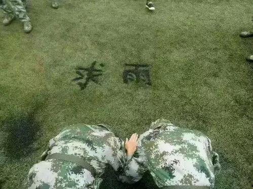 人类吃瓜返祖现场,一场返祖的狂欢现场