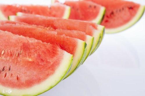 天天吃热瓜,天天畅享的美食之旅
